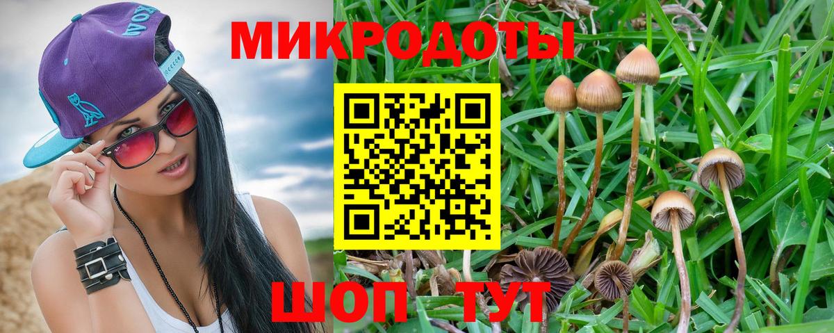 Псилоцибиновые грибы GOLDEN TEACHER  Псилоцибиновые грибы MAGIC MUSHROOMS  Топки  Вход с VPN 